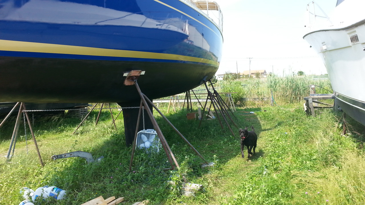 Maryland Yacht Painter